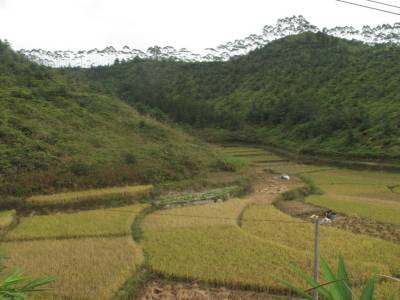 Marche vers le potager