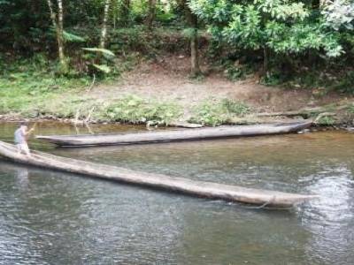 Amazonie
