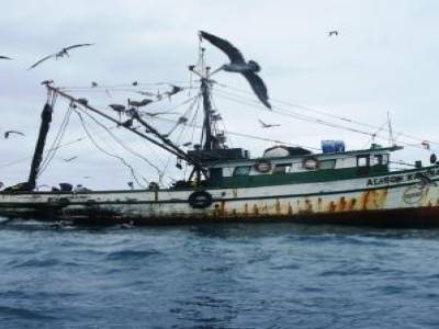 Un crevettier, a Puerto Lopez