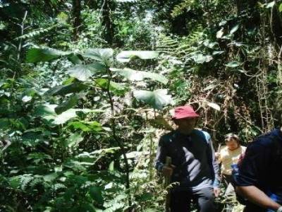 En rando, dans la selva