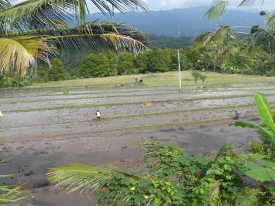 sur la route de munduk