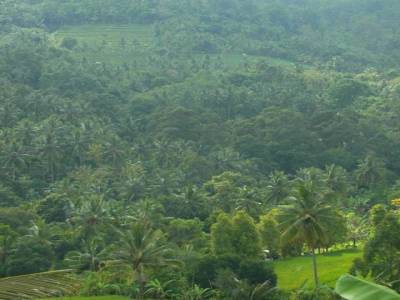 sur la route de munduk