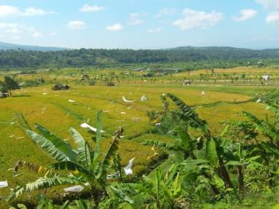 Beautiful landscape