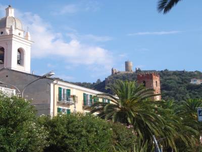 Noli