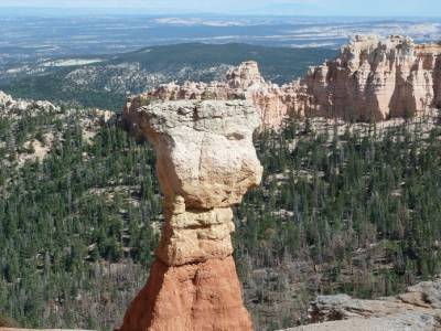 Bryce