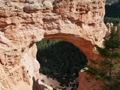 Bryce Natural Bridge