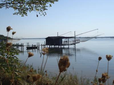 Au bord d'un étang près de l'Adriatique