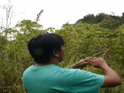 Bukitinggi 