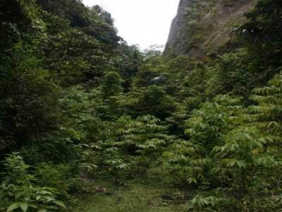 Bukitinggi 