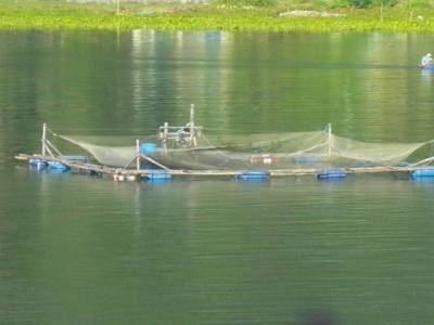  Lac Toba
