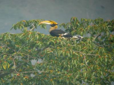 Parc National Khao Yai