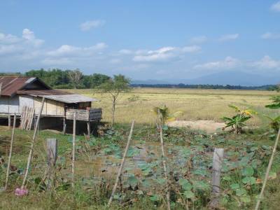 Sur la route Vientiane to Vang Vieng...