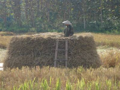 Sur la route Vientiane to Vang Vieng...