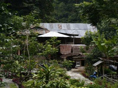 Bukit lawang