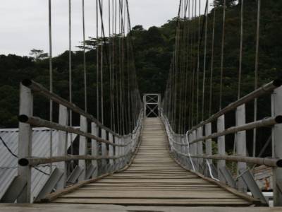 Bukit lawang
