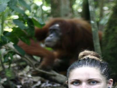 Bukit lawang