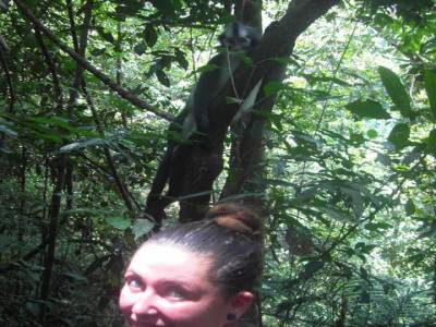Bukit lawang