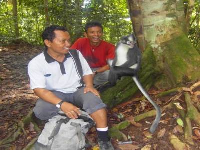 Bukit lawang