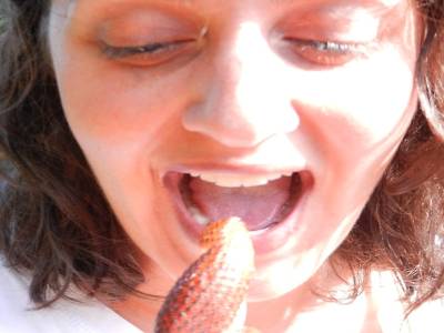Ah !!! un serpent