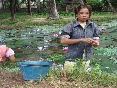 Ramassage de coquillages dans un des etangs de la ville