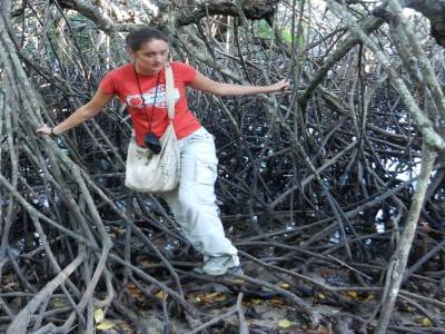 Dans la mangrove du parc national à l'ouest de l'ile
