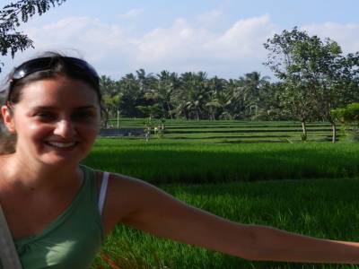 Rizières d'Ubud
