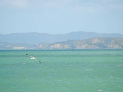 Bay of Islands