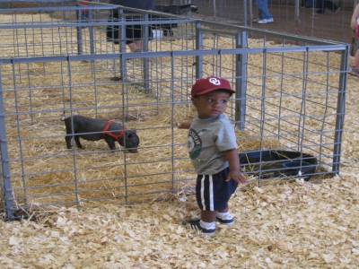 Giovanni et un petit cochon