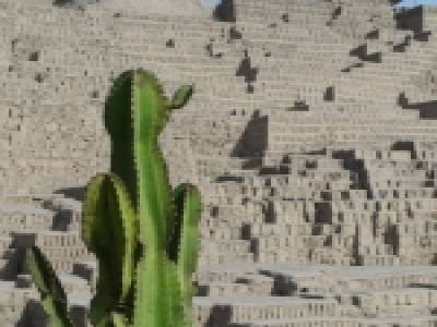 Huaca Pucllana again