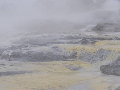 Rotorua