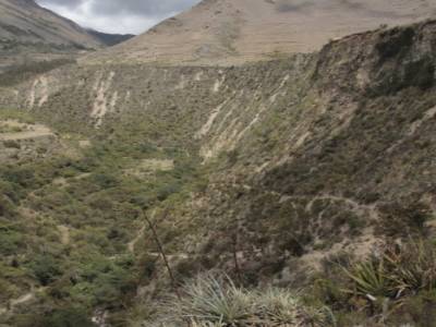on the Inca trail