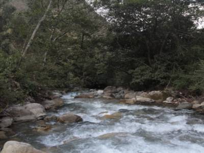 into the wild