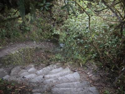 this steps are called "gringo killers" guess why...