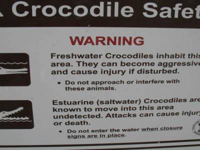 Vous pouvez y aller, pas de crocodiles à l'horizon pour le moment !