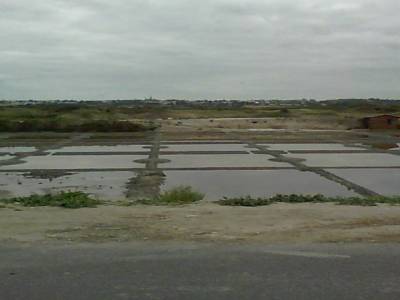 Les marais salants