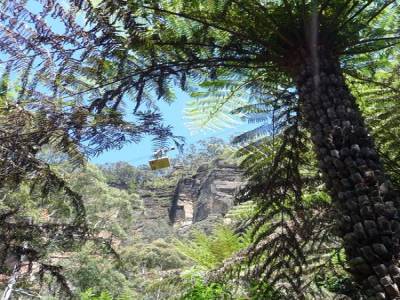 Les Blue Mountains
