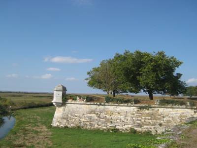 Echauguette