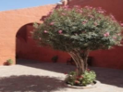 Monasterio Santa Catalina