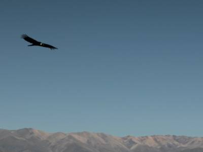 El Condor pasa