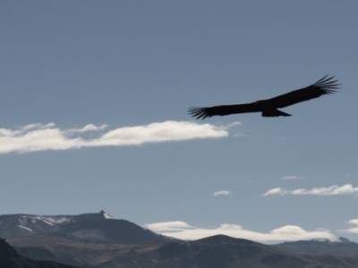 El Condor pasa