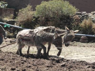 yes in titicaca times don't change...