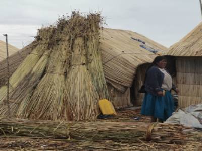Uros small Island