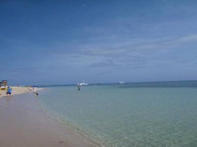  barriere de corail