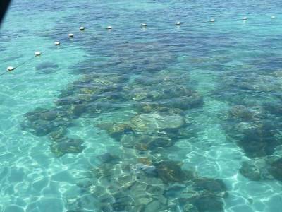 barriere de corail