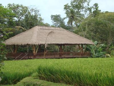 riziere UBUD