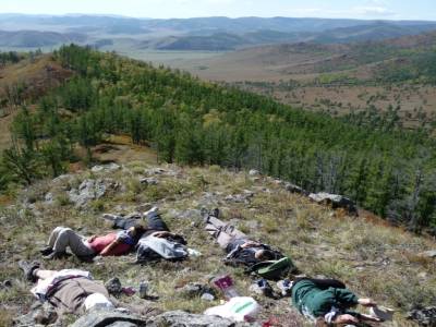 Zzzzzzz