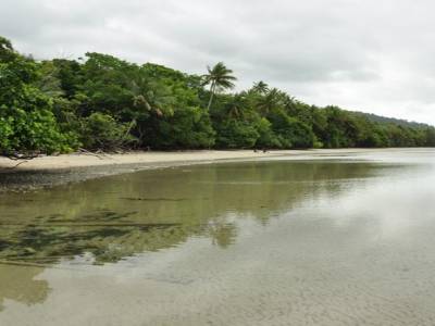 plage cape Tribulation
