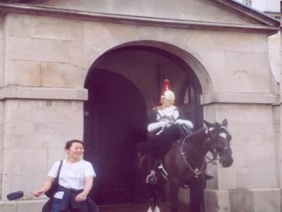 Horse Guard