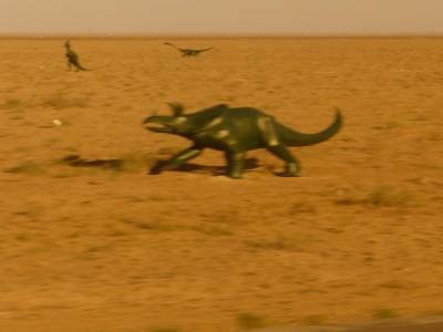 triceratops pour Maxime !