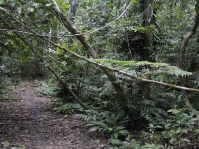 Madidi National Park